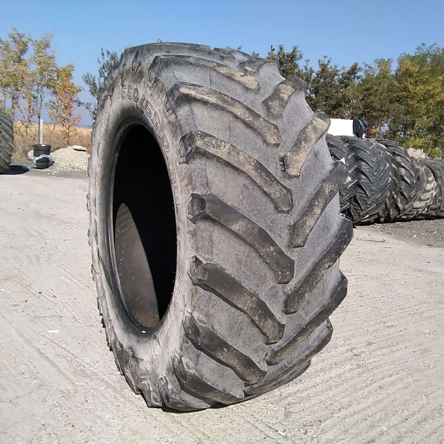  Cauciucuri 650/65R38 Trelleborg